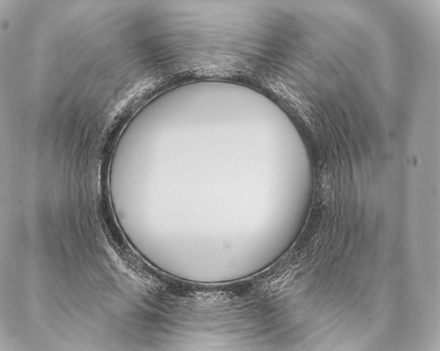 X0000087380686200705111736