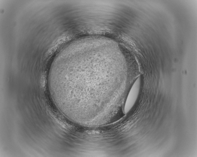 X0000087380687200705111736