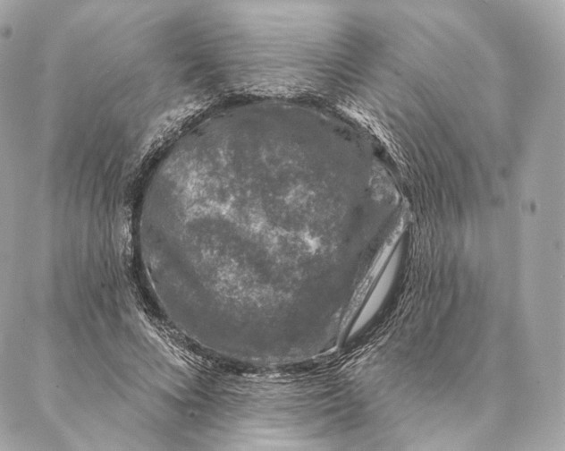 X0000087380688200705111736