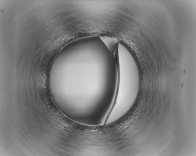 X0000087380689200705111736