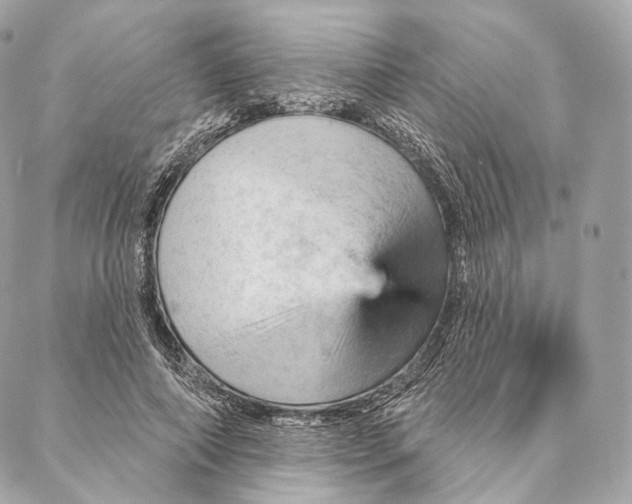 X0000087380690200705111736