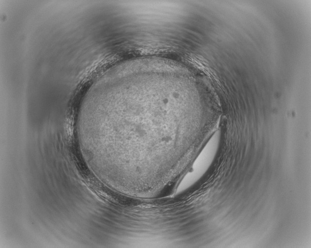 X0000087380691200705111736