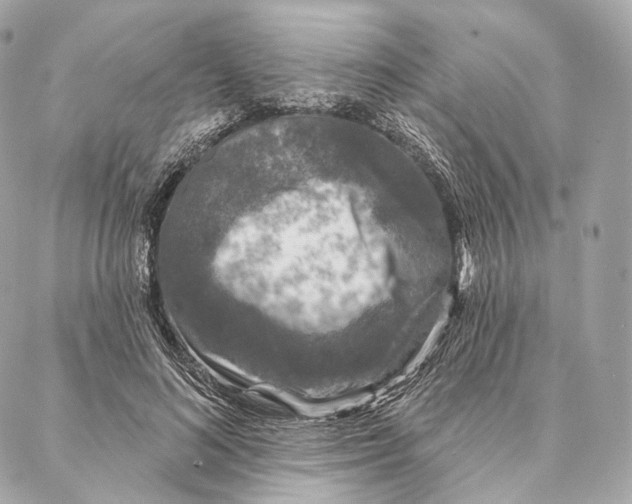 X0000087380692200705111736