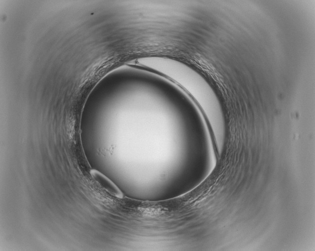 X0000087380693200705111736