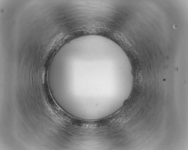 X0000087380694200705111736