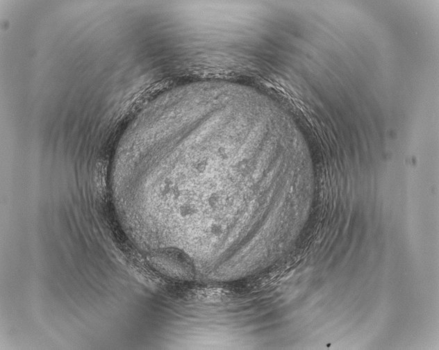 X0000087380695200705111736