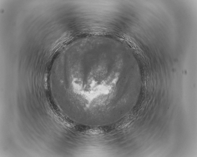 X0000087380696200705111736