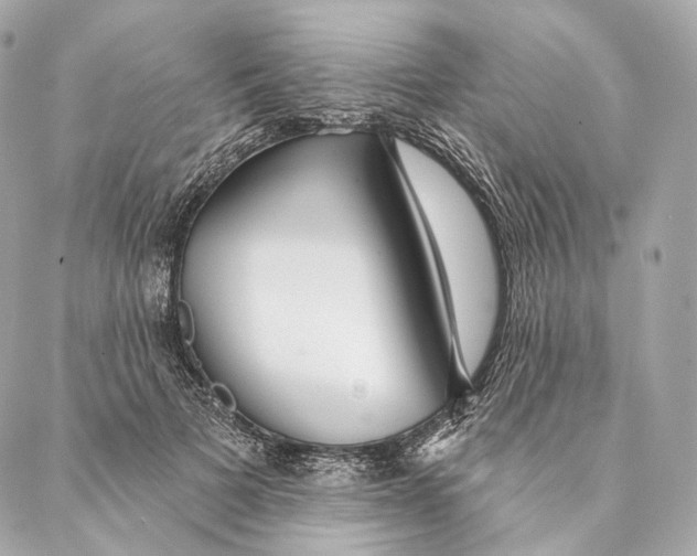 X0000087380697200705111736