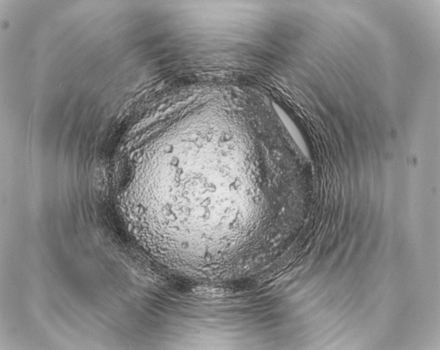 X0000087380699200705111736