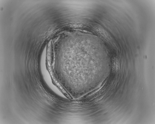 X0000087380700200705111736