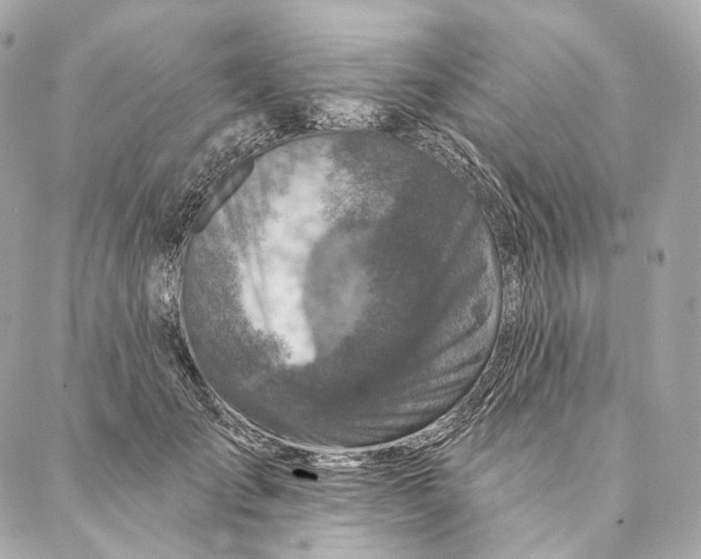 X0000087380701200705111736