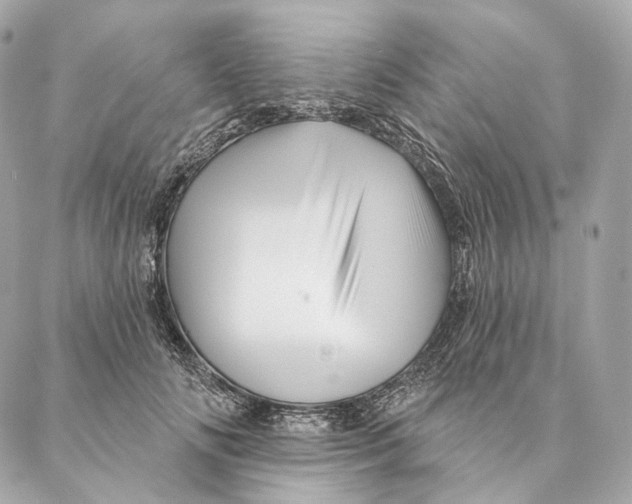 X0000087380702200705111736