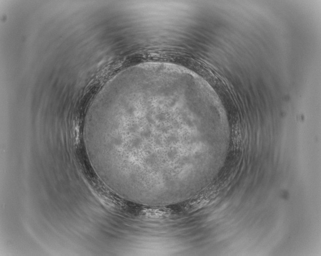 X0000087380703200705111736