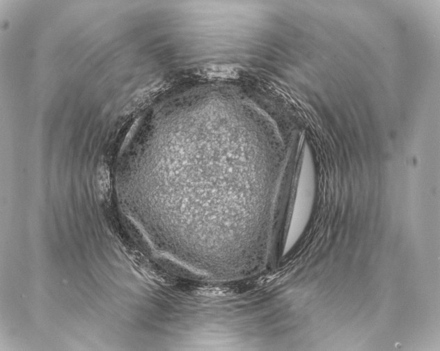 X0000087380704200705111736