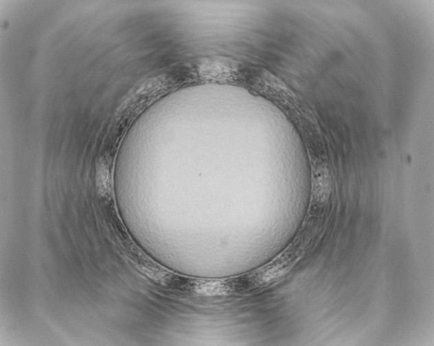 X0000087380705200705111736