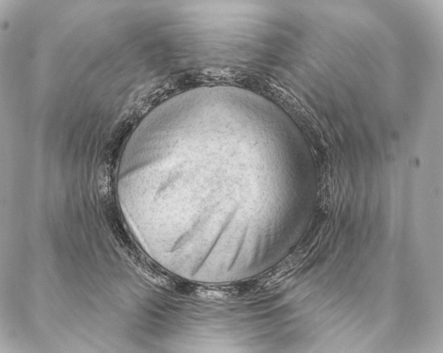 X0000087380706200705111736