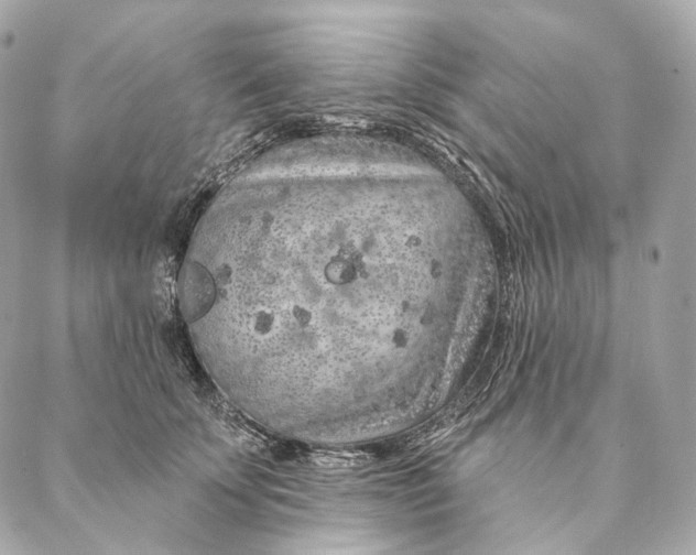 X0000087380707200705111736