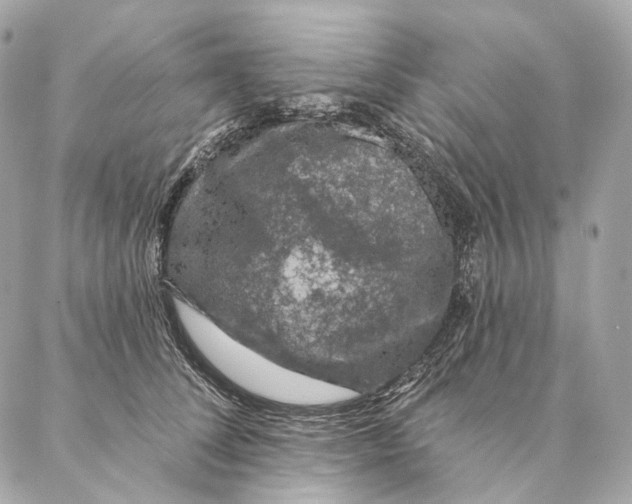 X0000087380708200705111736