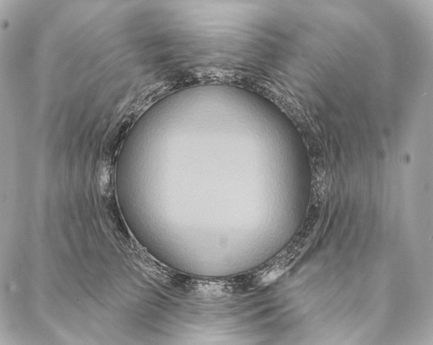 X0000087380709200705111736