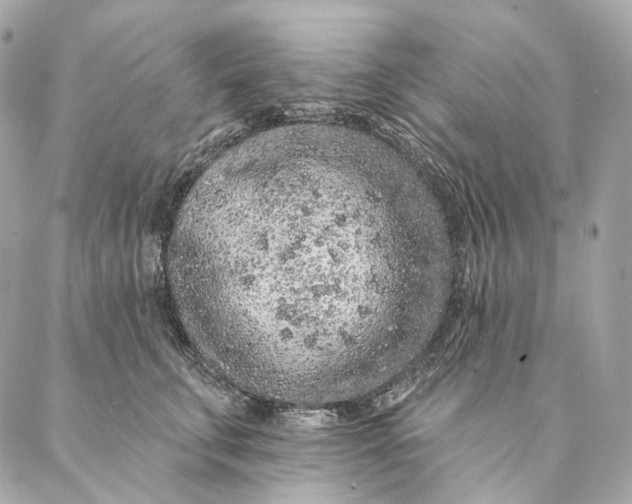 X0000087380711200705111735