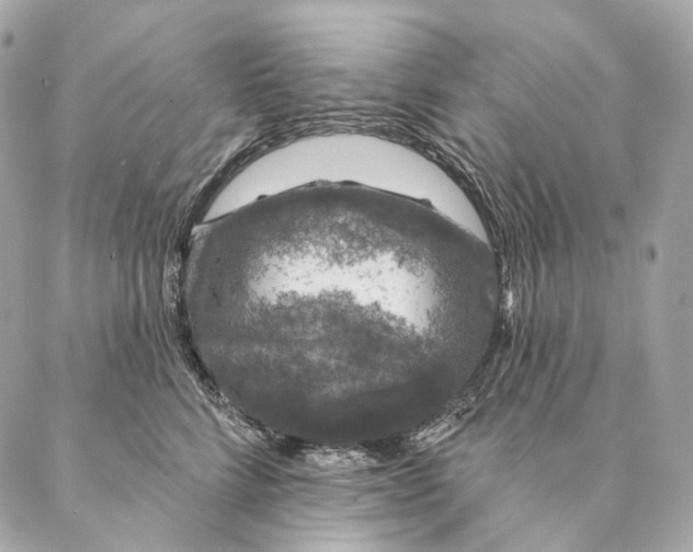 X0000087380712200705111735