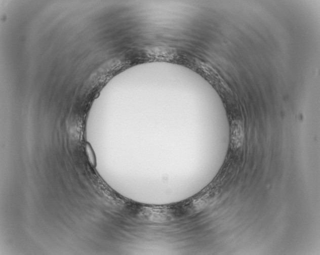 X0000087380713200705111735