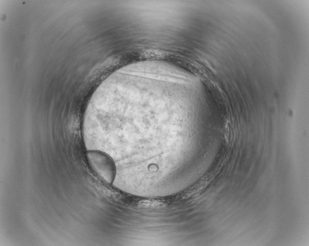 X0000087380714200705111735