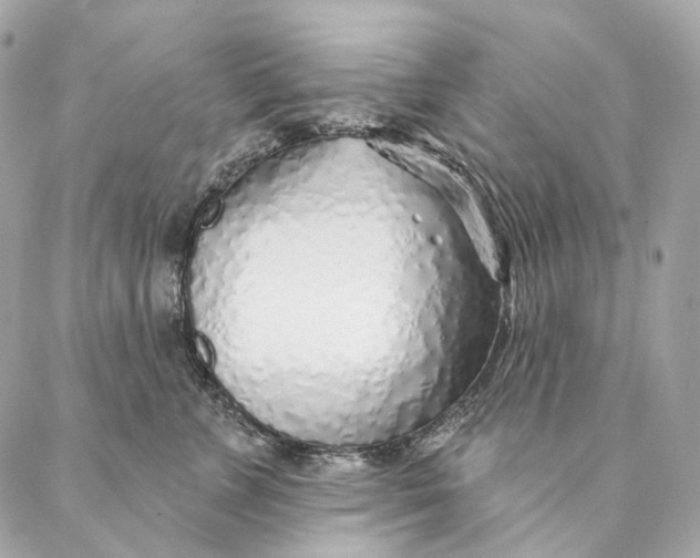 X0000087380715200705111735