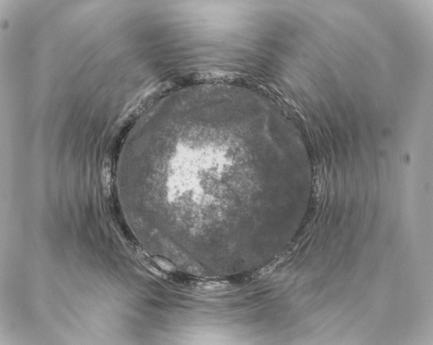 X0000087380716200705111735