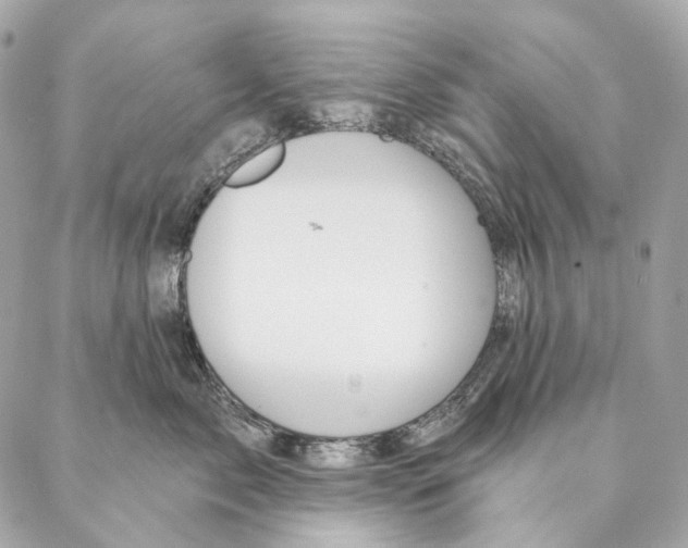 X0000087380717200705111735