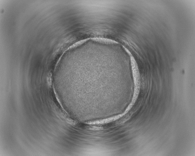 X0000087380718200705111735