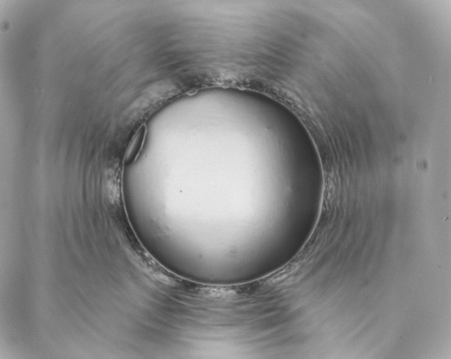 X0000087380719200705111735