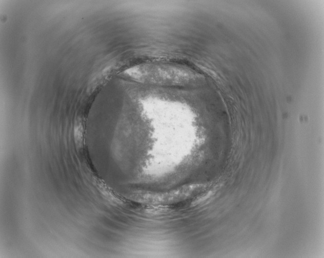 X0000087380720200705111735