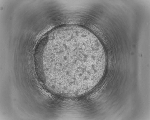 X0000087380721200705111735