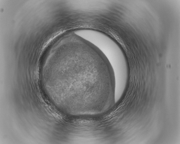 X0000087380722200705111735