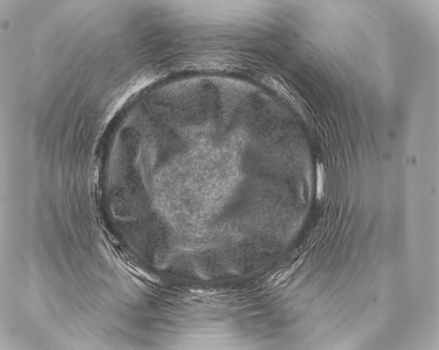 X0000087380723200705111735