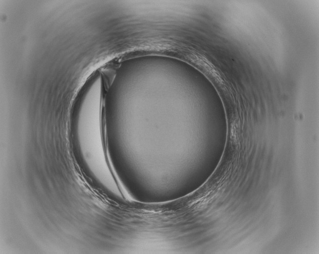 X0000087380724200705111735