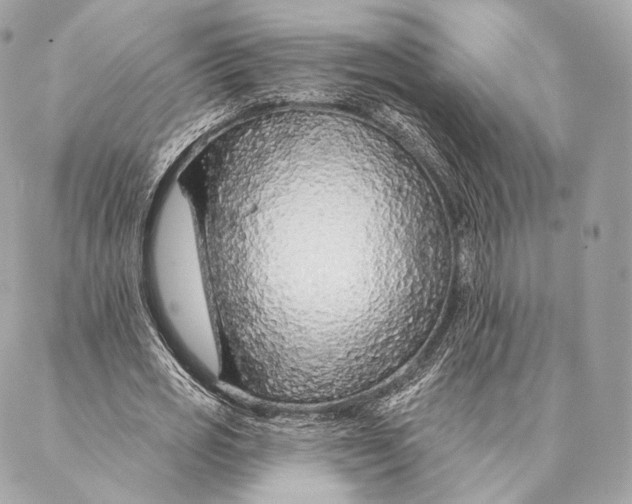 X0000087380725200705111735