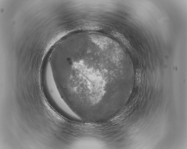 X0000087380726200705111735