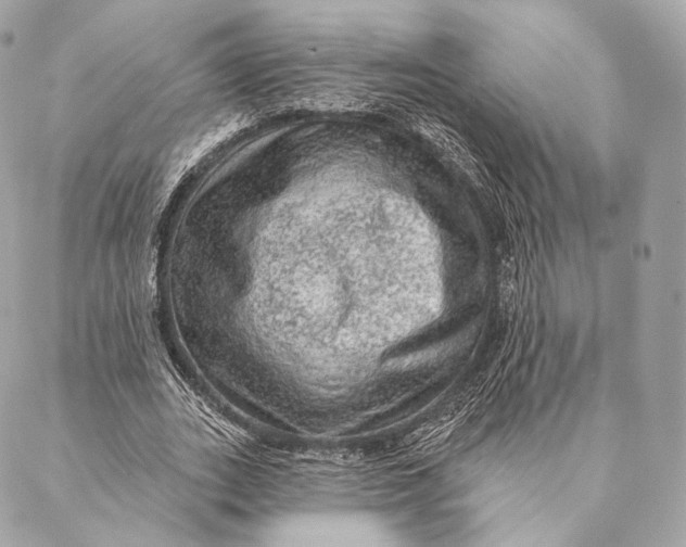 X0000087380727200705111735