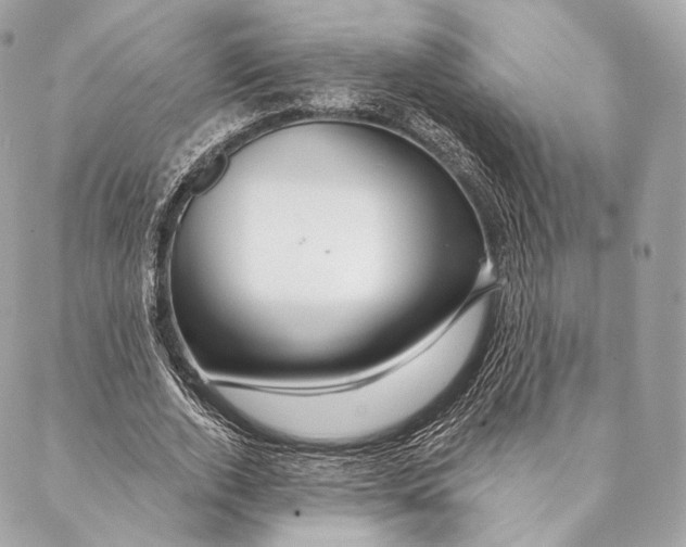 X0000087380728200705111735