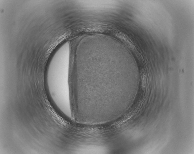 X0000087380729200705111735