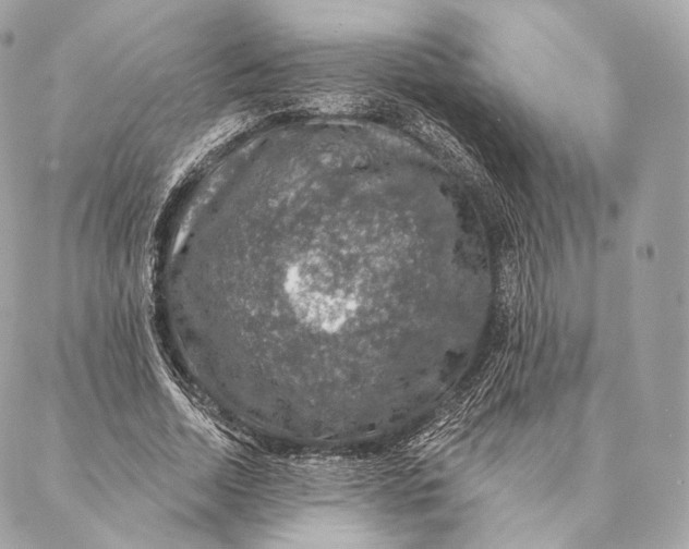 X0000087380730200705111735