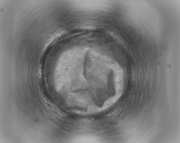 X0000087380731200705111735