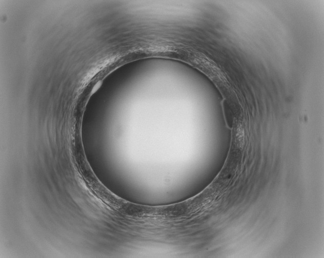 X0000087380732200705111735