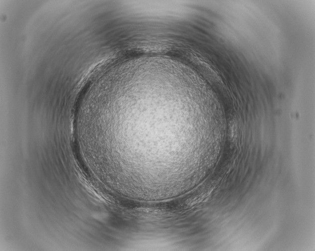 X0000087380733200705111735