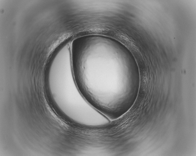 X0000087380734200705111735