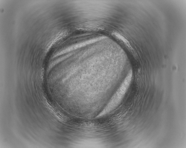 X0000087380735200705111735