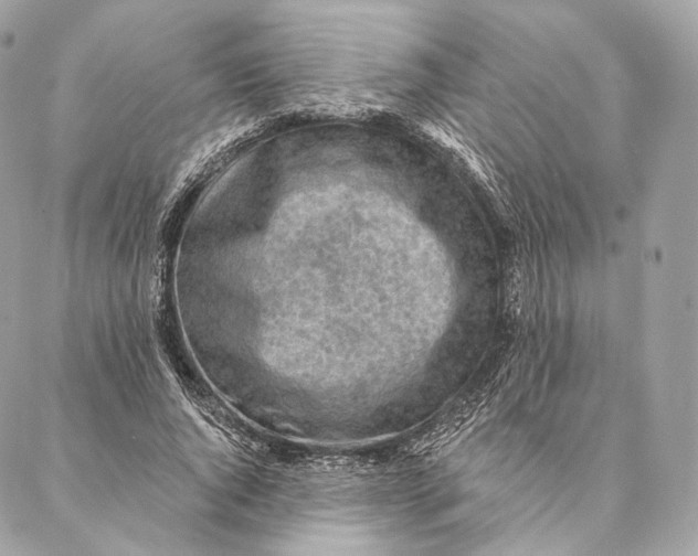 X0000087380736200705111735