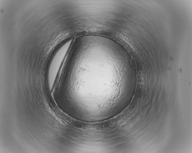 X0000087380738200705111735